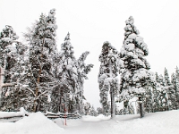 Sodankylä